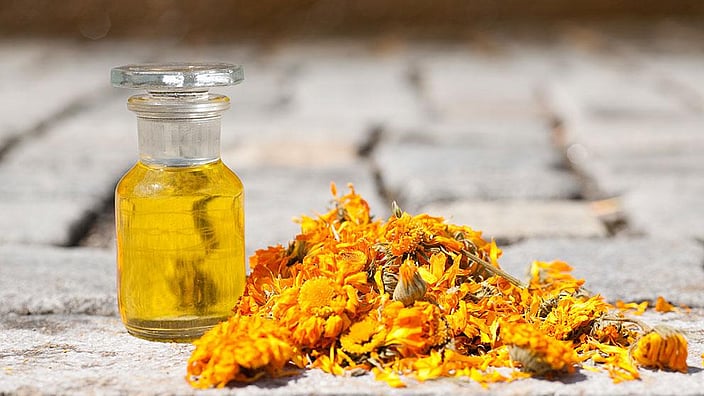 Calendula oil and flowers