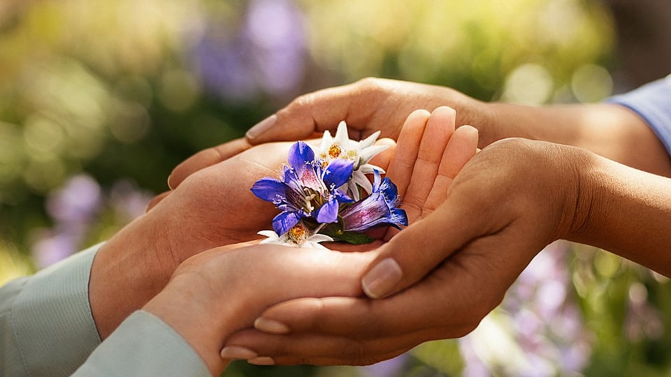 four hands holding flower
